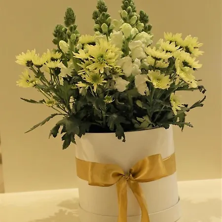 M&m Space Mm1 ポルト